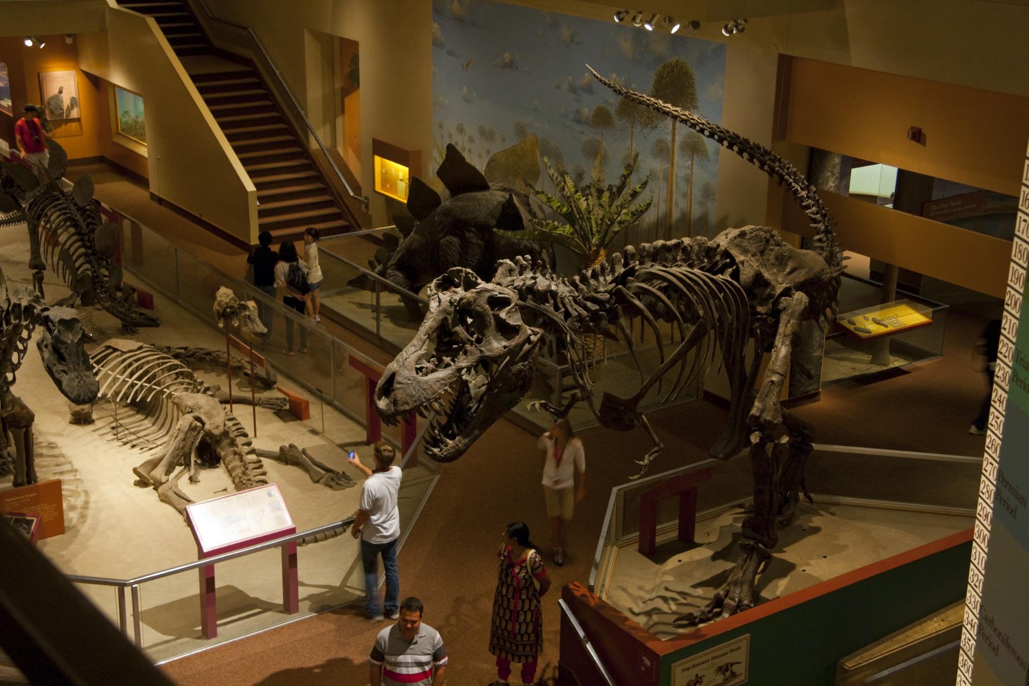 Photo: Smithsonian National Museum of Natural History Hall of Fossils in 2010. Photo by pcouture.