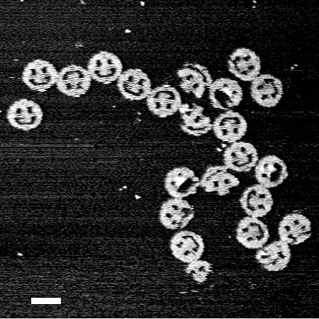A scanning electron micrograph of smiley faces created in the Rothemund lab using DNA origami methods. Each smiley face is approximately 100 nm in diameter. (Image: Paul Rothemund, reprinted by permission from Macmillan Publishers Ltd: Nature 440, 297-302, Copyright (2006))