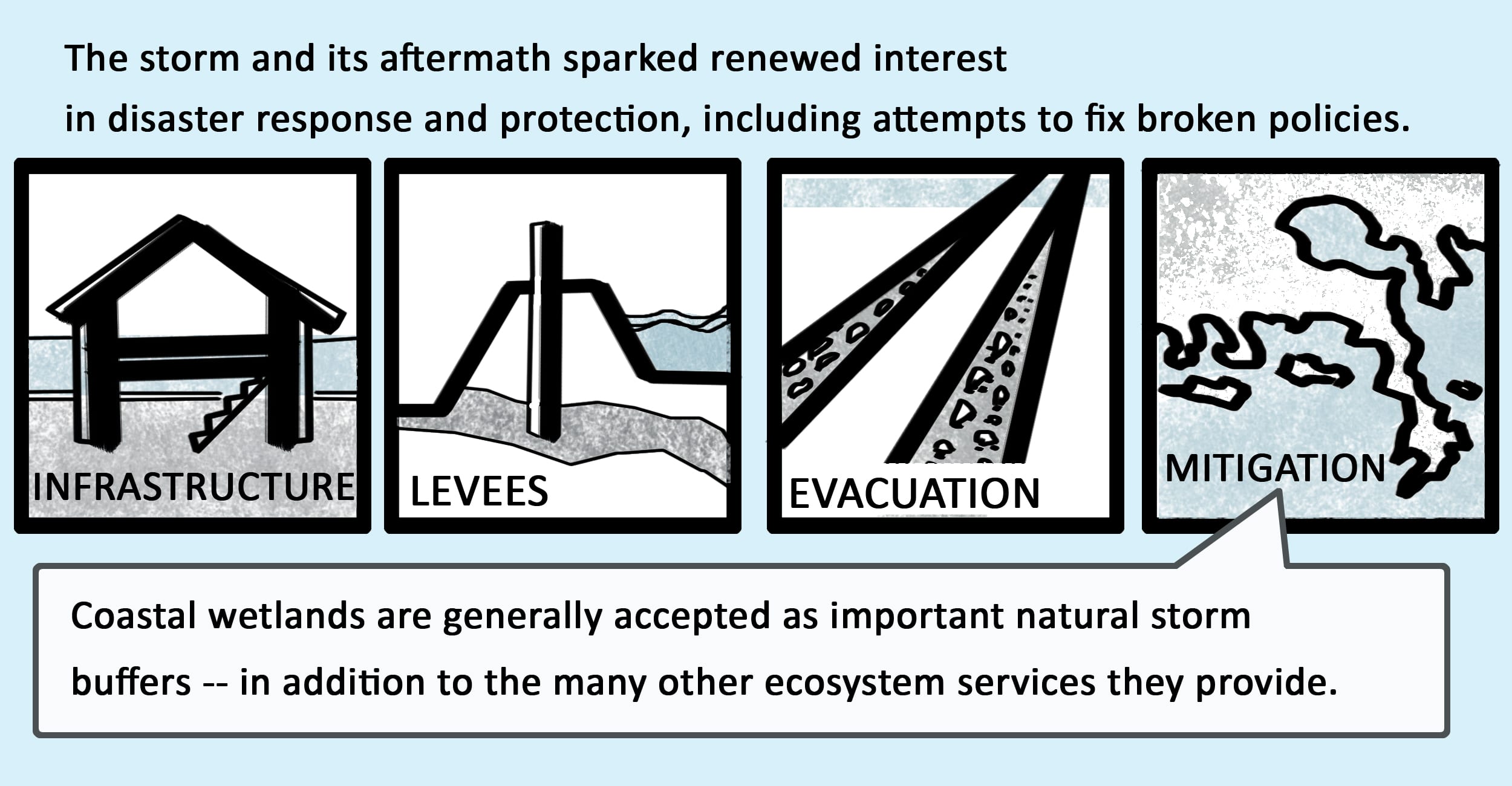 The storm and its aftermath sparked renewed interest in disaster response and protection, including attempts to fix broken policies. Coastal wetlands are generally accepted as important natural storm buffers-- in addition to the many other ecosystem services they provide.