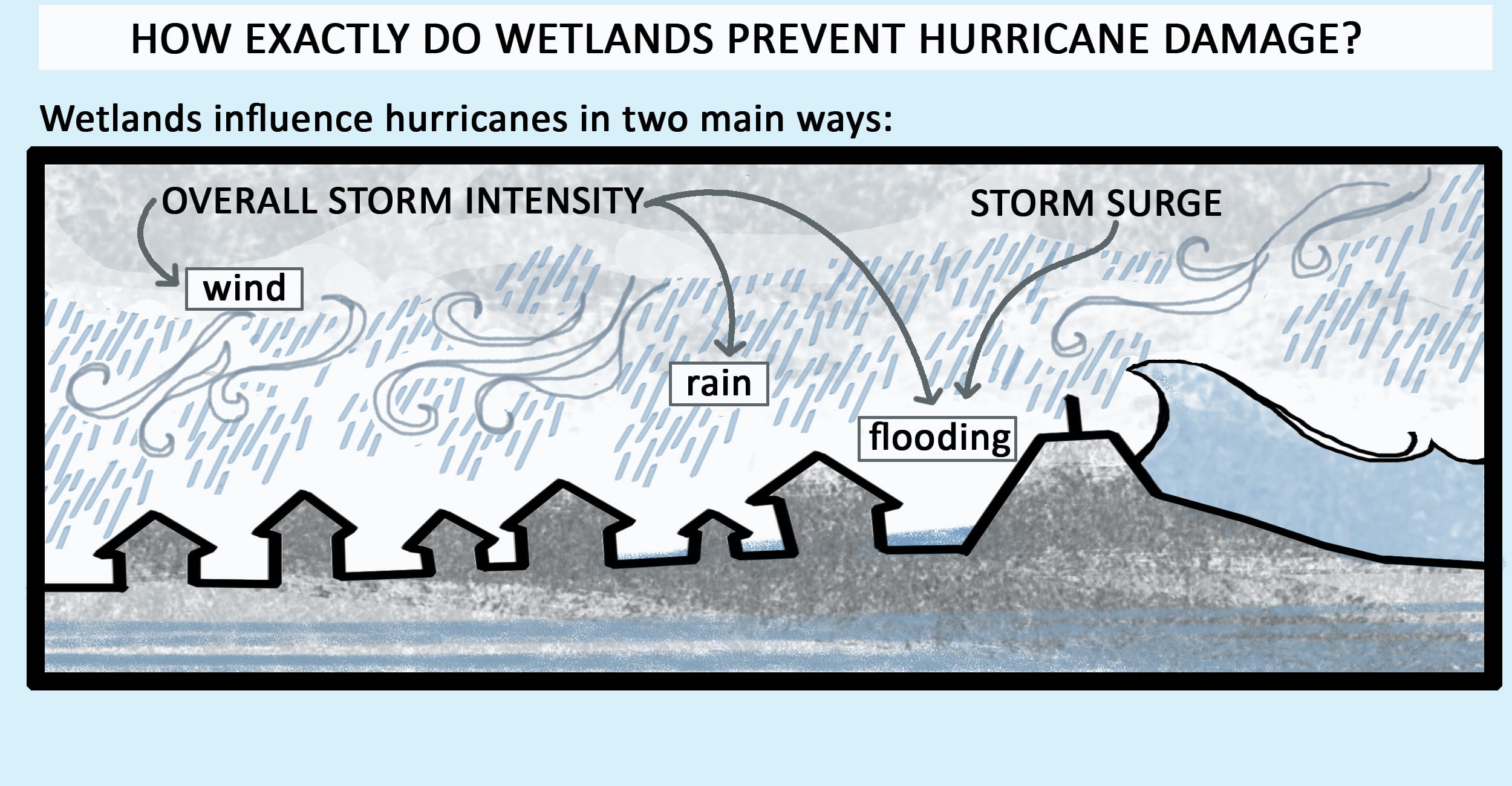 Wetlands ameliorate storm intensity and storm surge