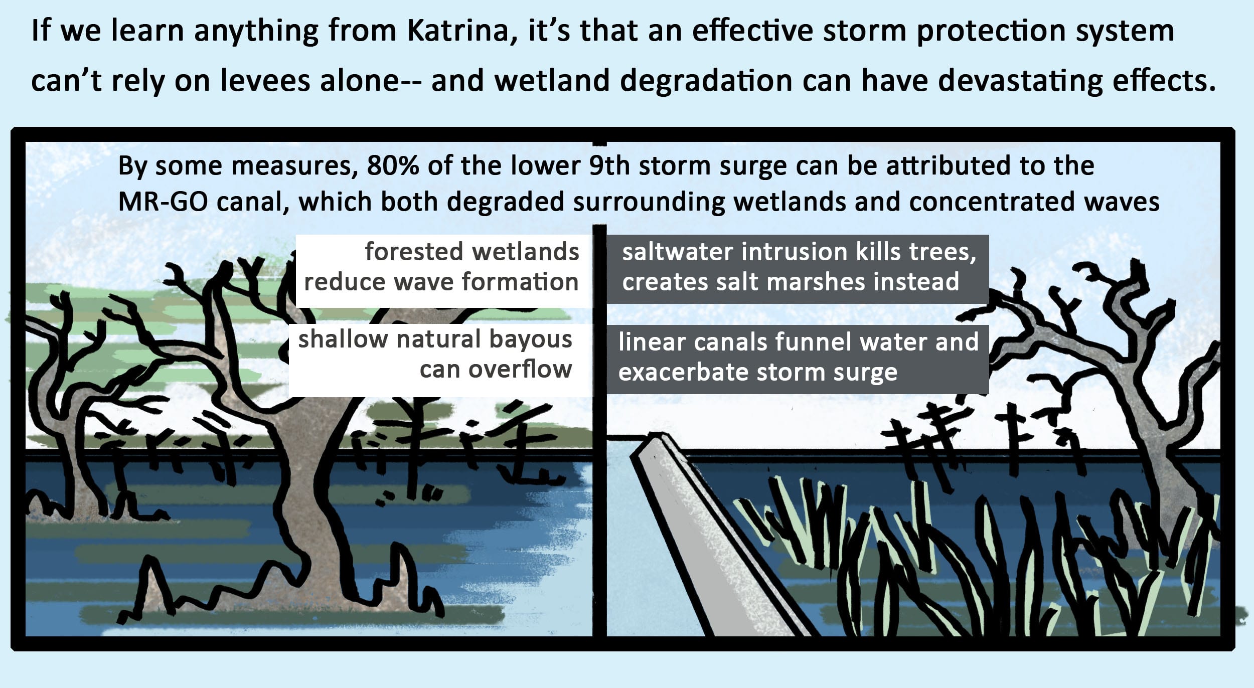 An effective storm protection system depends on levees as well as healthy wetlands