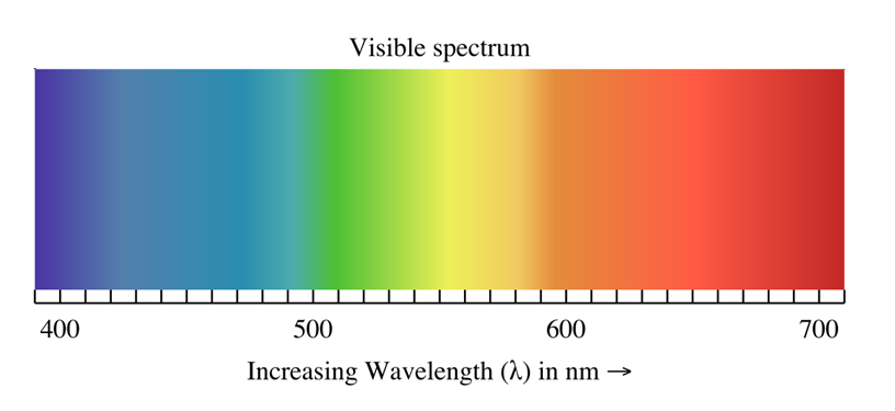 The visible spectrum represents the wavelengths of electromagnetic radiation from 400-700 nm that we can see with our eye.. Image is from Wikipedia. 