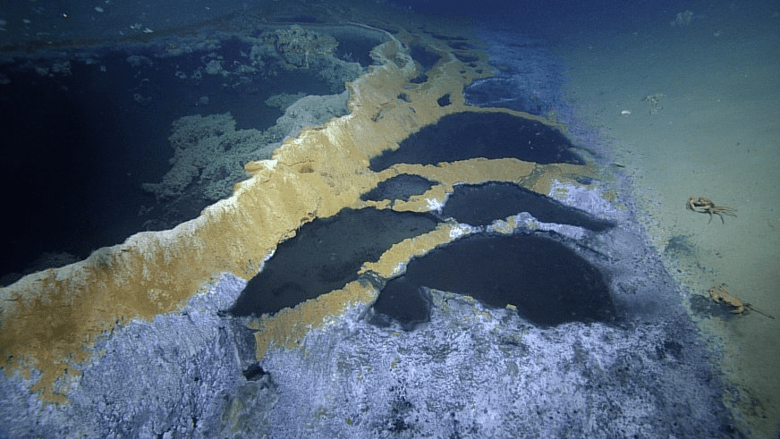 Brine pools in the Gulf of Mexico. Image via Nautilus Live. 