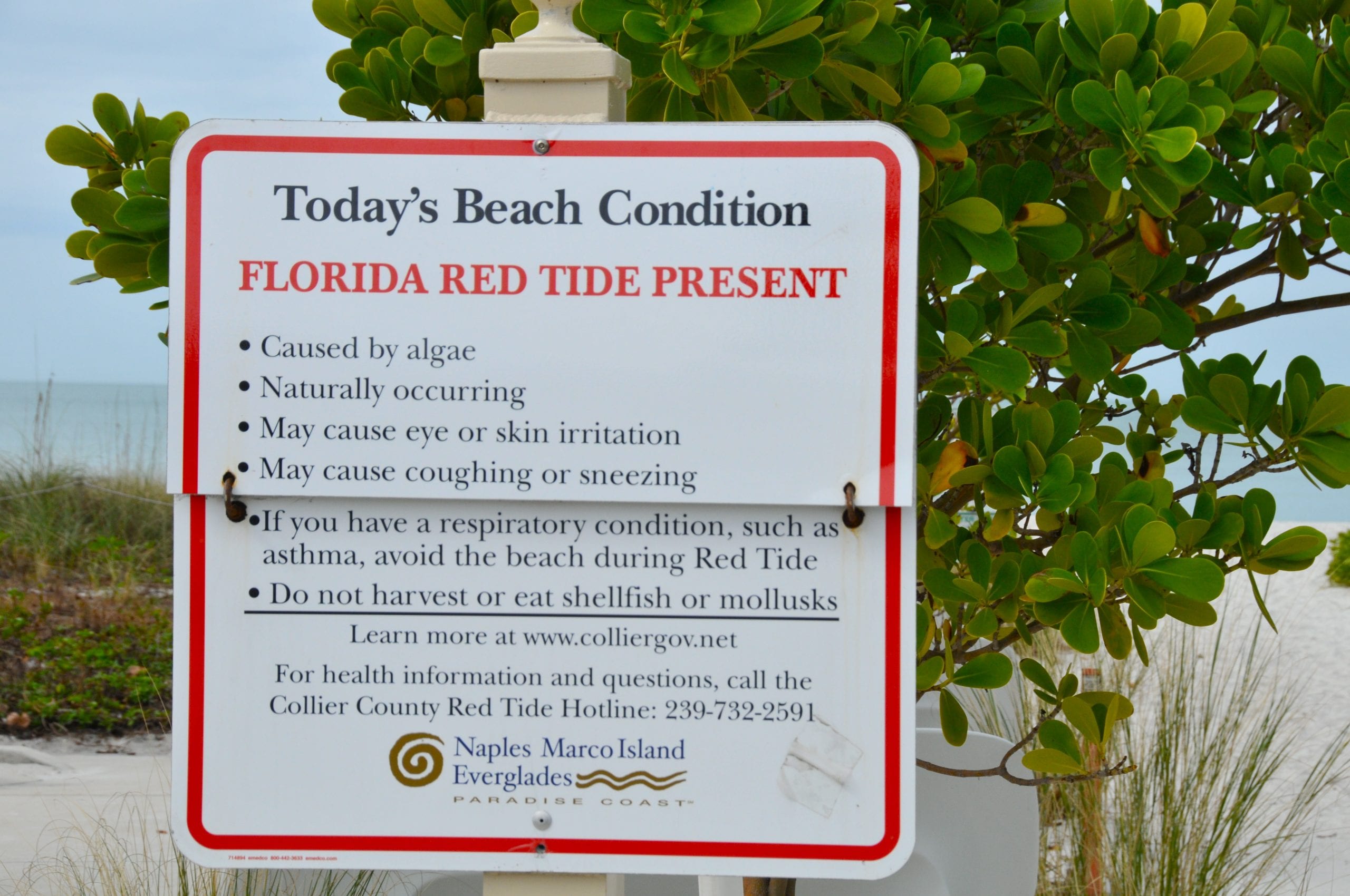 Red Tide warning