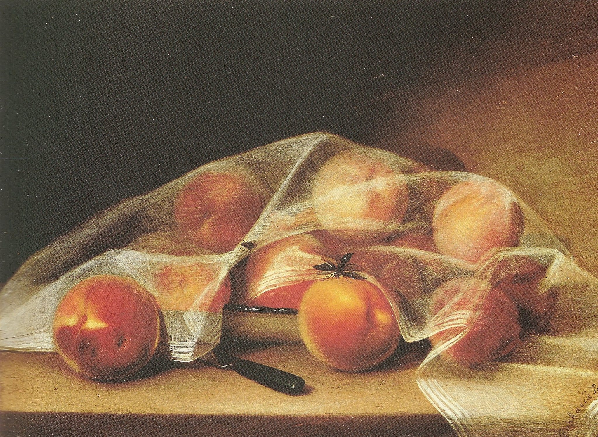 Fruit_pieces_with_peaches_covered_by_a_handkerchief-raphaelle_peale