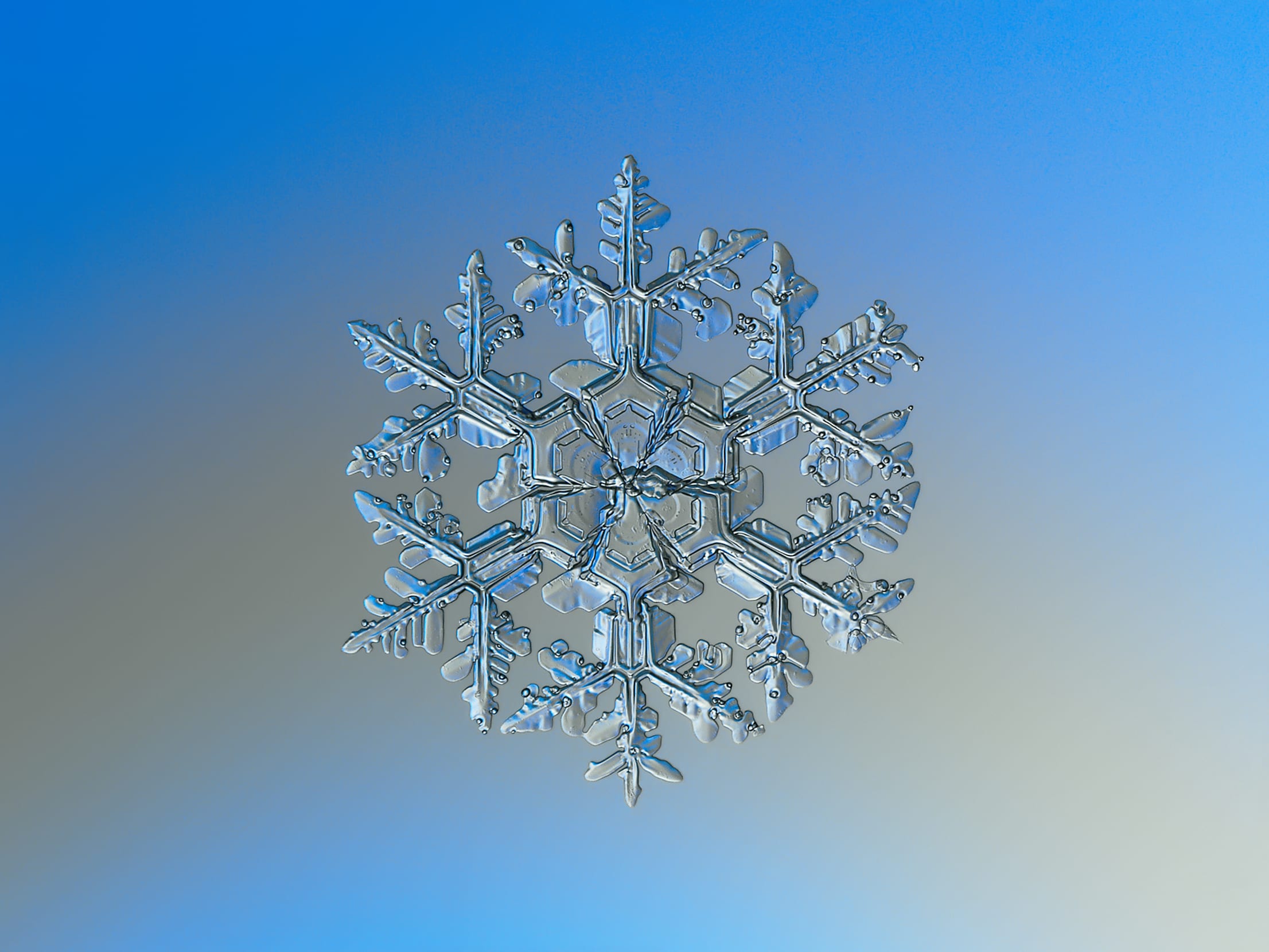 Snowflake_macro_photography