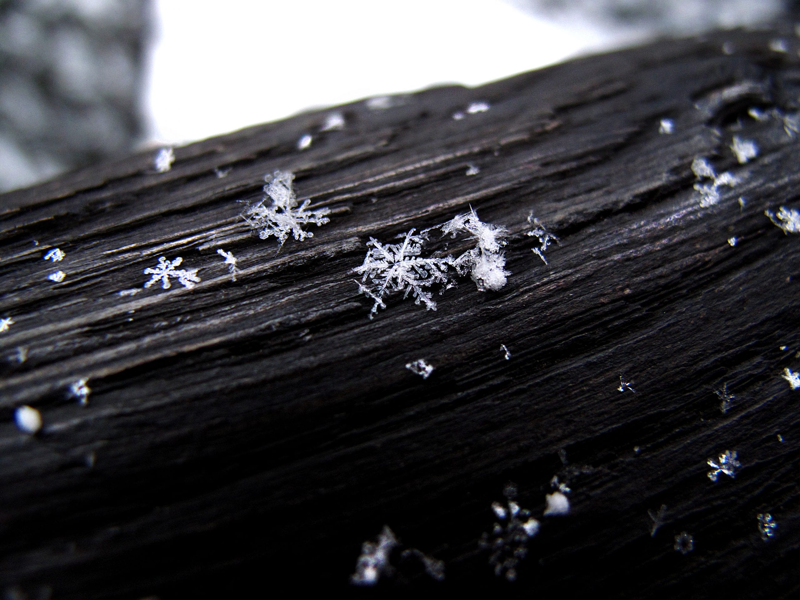 snowflakes-on-handrail.jpg