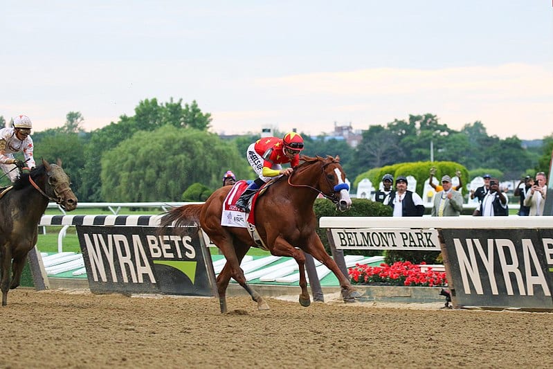 800px-Justify_-_2018_Belmont_Stakes