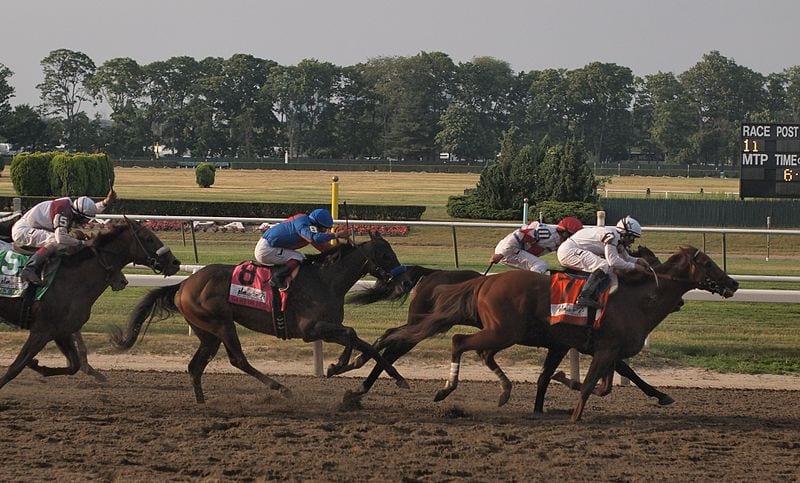 Stretch_of_belmont_stakes_(4675567150)