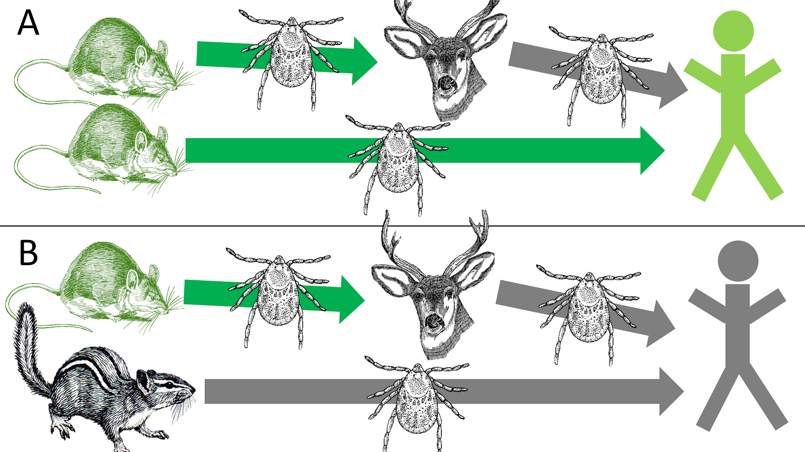 Dilution_effect_figure